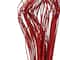 TF Publishing Natural Curly Ting Branch Stems, 35ct.